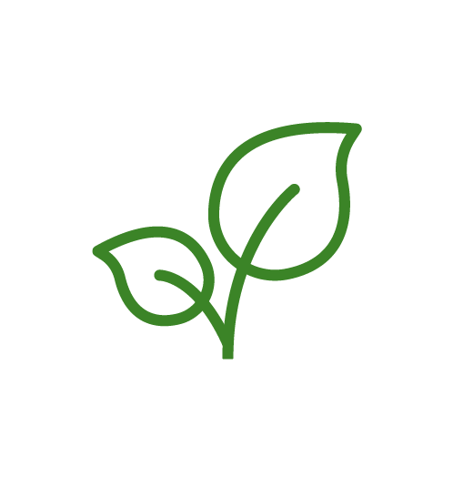 manutenção de jardim